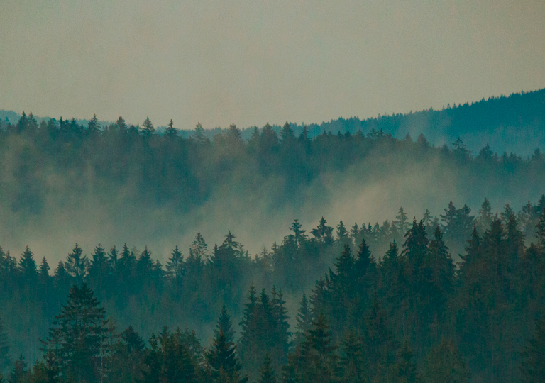 Dripstop_Mobile_Content_768x540px_mainpage_sustainability.jpg